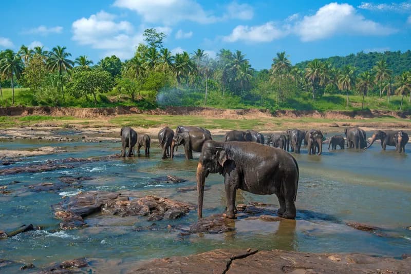 Sri Lanka